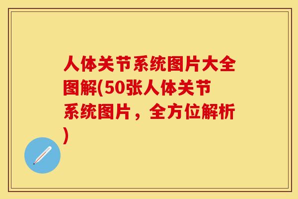 人体关节系统图片大全图解(50张人体关节系统图片，全方位解析)