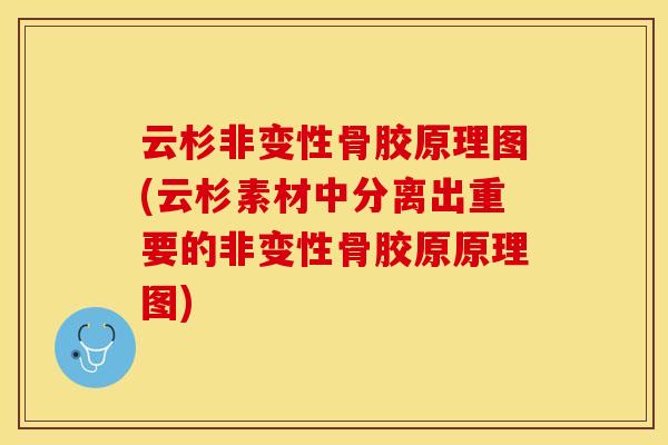 云杉非变性骨胶原理图(云杉素材中分离出重要的非变性骨胶原原理图)