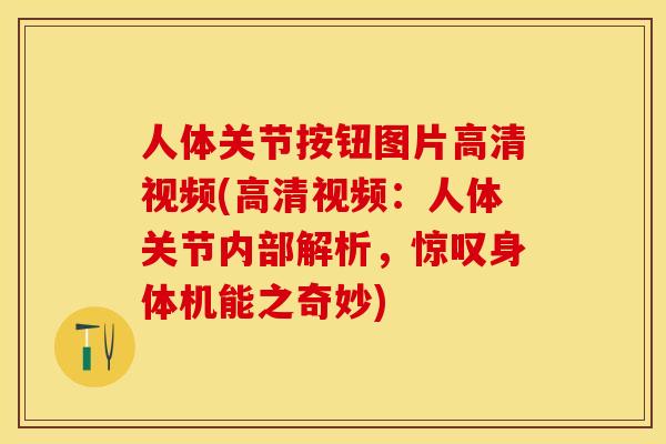 人体关节按钮图片高清视频(高清视频：人体关节内部解析，惊叹身体机能之奇妙)