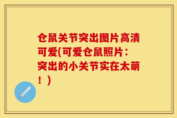 仓鼠关节突出图片高清可爱(可爱仓鼠照片：突出的小关节实在太萌！)