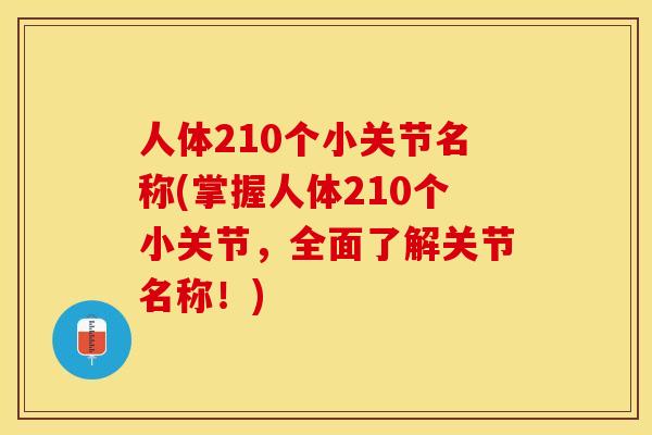 人体210个小关节名称(掌握人体210个小关节，全面了解关节名称！)