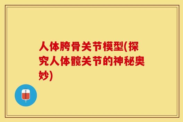 人体胯骨关节模型(探究人体髋关节的神秘奥妙)