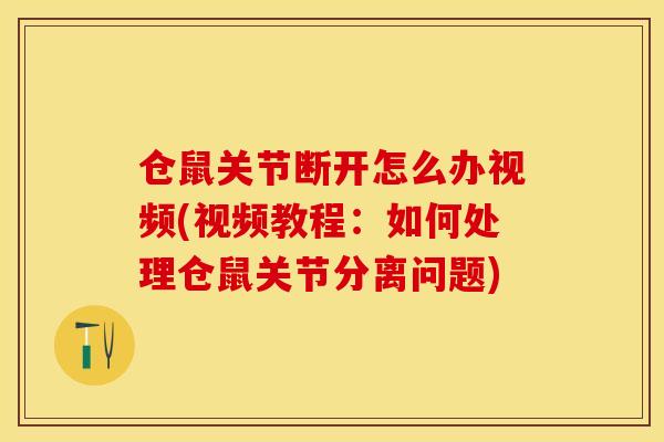 仓鼠关节断开怎么办视频(视频教程：如何处理仓鼠关节分离问题)