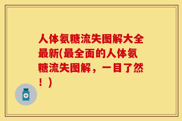人体氨糖流失图解大全最新(最全面的人体氨糖流失图解，一目了然！)