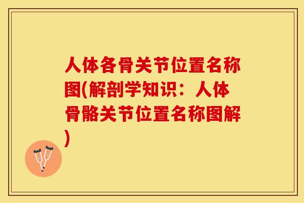 人体各骨关节位置名称图(解剖学知识：人体骨骼关节位置名称图解)