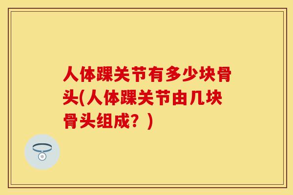 人体踝关节有多少块骨头(人体踝关节由几块骨头组成？)