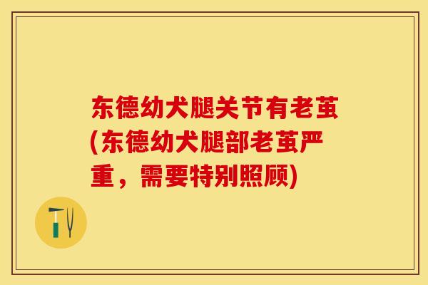 东德幼犬腿关节有老茧(东德幼犬腿部老茧严重，需要特别照顾)