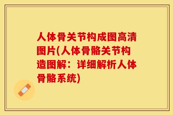 人体骨关节构成图高清图片(人体骨骼关节构造图解：详细解析人体骨骼系统)