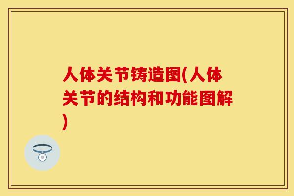 人体关节铸造图(人体关节的结构和功能图解)