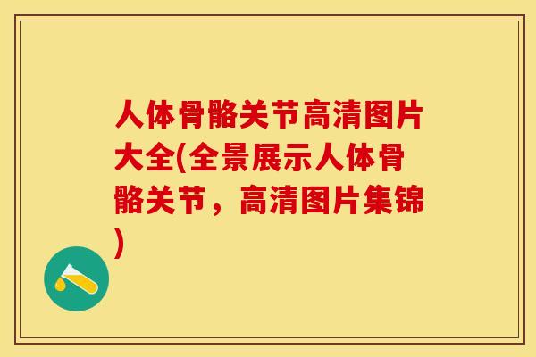 人体骨骼关节高清图片大全(全景展示人体骨骼关节,高清图片集锦)-第1张图片-关节保镖 人体骨骼关节高清图片大全(全景展示人体骨骼关节,高清图片集锦)-第1张图片-关节保镖