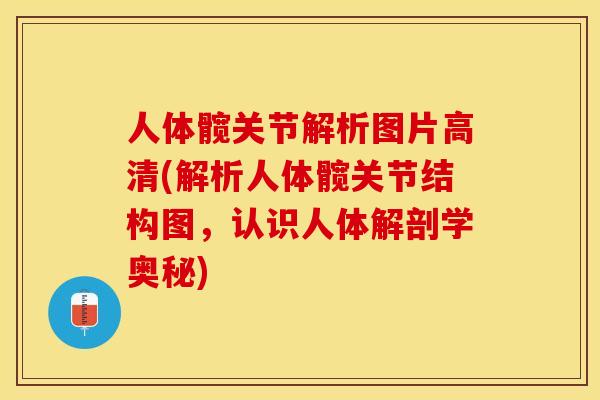 人体髋关节解析图片高清(解析人体髋关节结构图，认识人体解剖学奥秘)