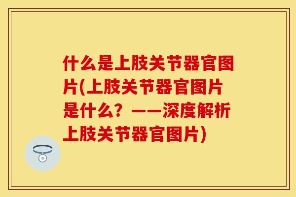 什么是上肢关节器官图片(上肢关节器官图片是什么？——深度解析上肢关节器官图片)