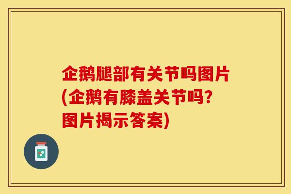 企鹅腿部有关节吗图片(企鹅有膝盖关节吗？图片揭示答案)