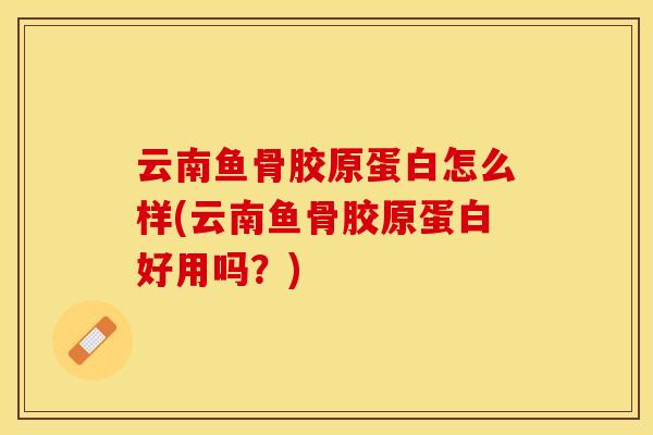 云南鱼骨胶原蛋白怎么样(云南鱼骨胶原蛋白好用吗？)