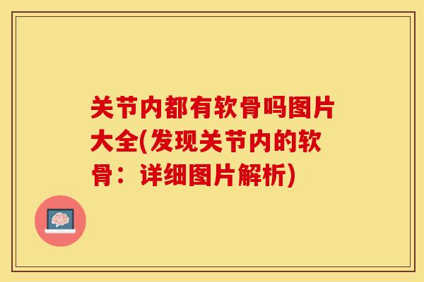 关节内都有软骨吗图片大全(发现关节内的软骨：详细图片解析)