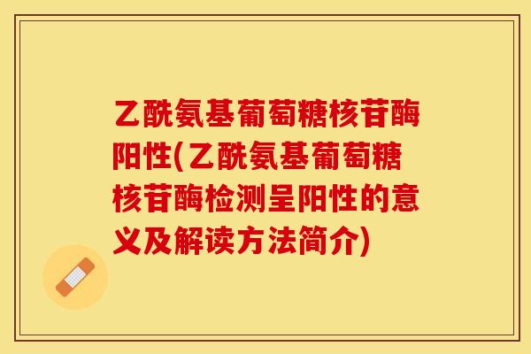 乙酰氨基葡萄糖核苷酶阳性(乙酰氨基葡萄糖核苷酶检测呈阳性的意义及解读方法简介)