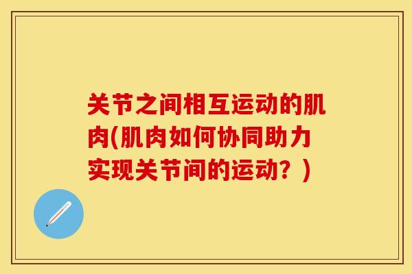 关节之间相互运动的肌肉(肌肉如何协同助力实现关节间的运动？)