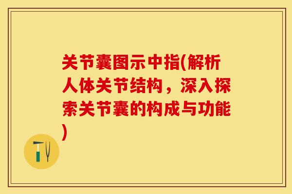 关节囊图示中指(解析人体关节结构，深入探索关节囊的构成与功能)
