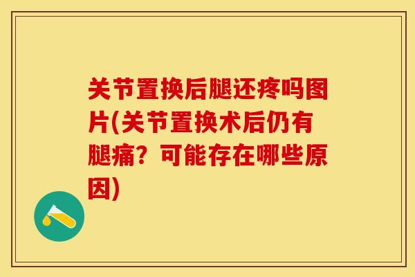 关节置换后腿还疼吗图片(关节置换术后仍有腿痛？可能存在哪些原因)