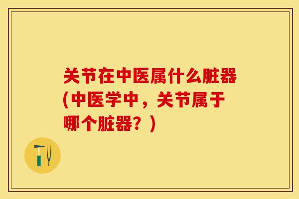 关节在中医属什么脏器(中医学中，关节属于哪个脏器？)
