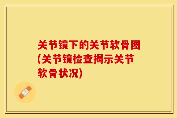 关节镜下的关节软骨图(关节镜检查揭示关节软骨状况)