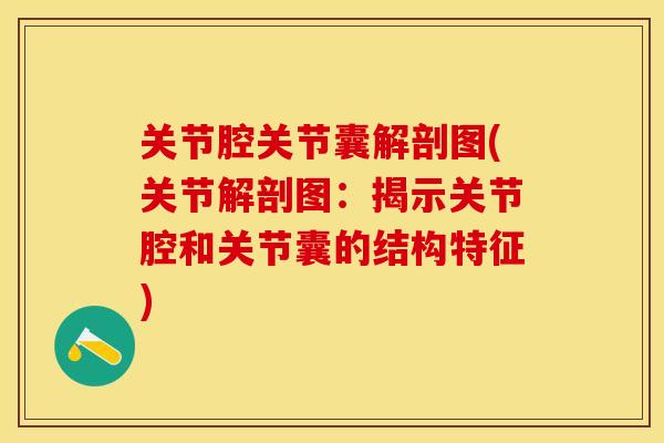 关节腔关节囊解剖图(关节解剖图：揭示关节腔和关节囊的结构特征)