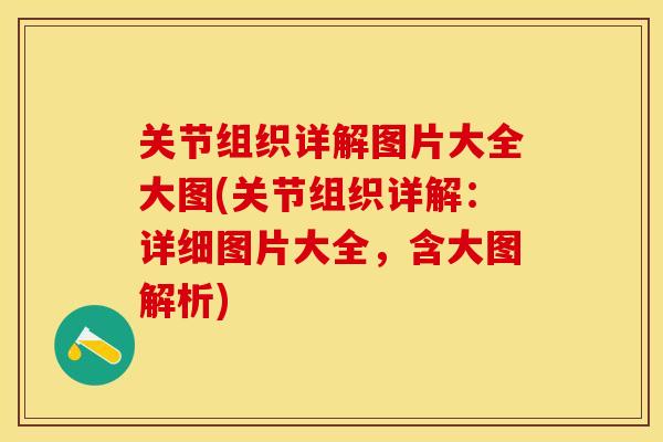 关节组织详解图片大全大图(关节组织详解：详细图片大全，含大图解析)
