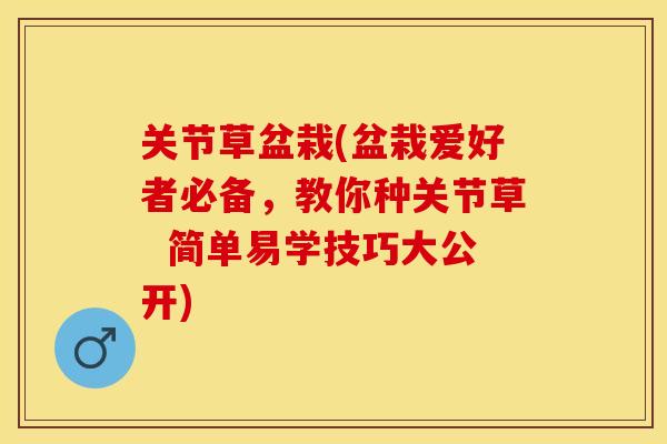 关节草盆栽(盆栽爱好者必备，教你种关节草  简单易学技巧大公开)