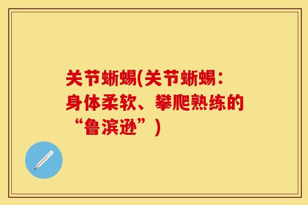 关节蜥蜴(关节蜥蜴：身体柔软、攀爬熟练的“鲁滨逊”)
