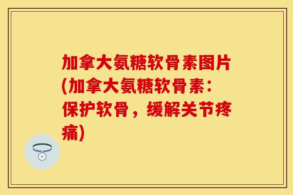 加拿大氨糖软骨素图片(加拿大氨糖软骨素:保护软骨,缓解关节疼痛)-第1张图片-关节保镖 加拿大氨糖软骨素图片(加拿大氨糖软骨素:保护软骨,缓解关节疼痛)-第1张图片-关节保镖