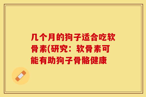 几个月的狗子适合吃软骨素(研究：软骨素可能有助狗子骨骼健康