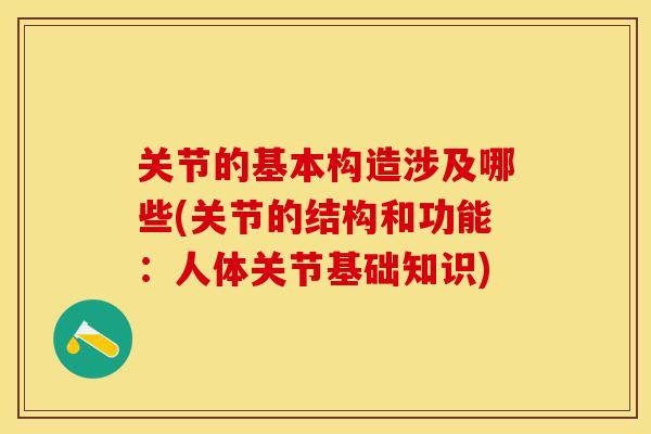 关节的基本构造涉及哪些(关节的结构和功能：人体关节基础知识)