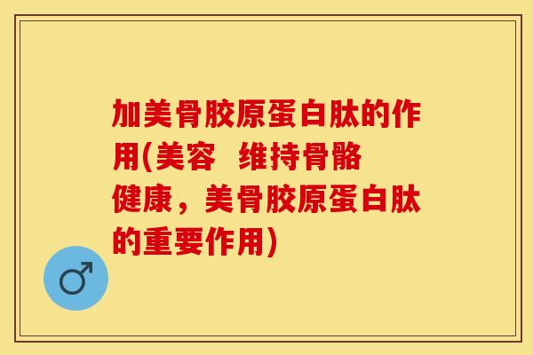 加美骨胶原蛋白肽的作用(美容  维持骨骼健康，美骨胶原蛋白肽的重要作用)