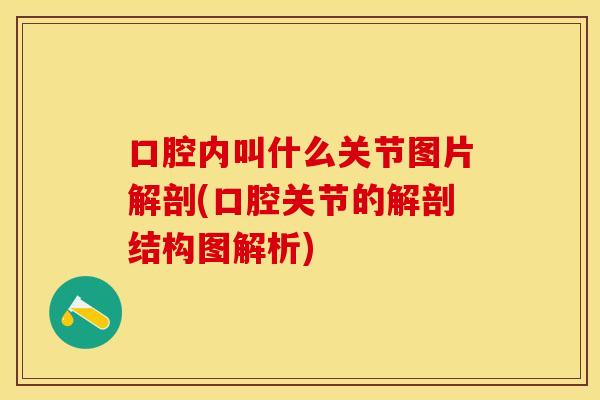 口腔内叫什么关节图片解剖(口腔关节的解剖结构图解析)