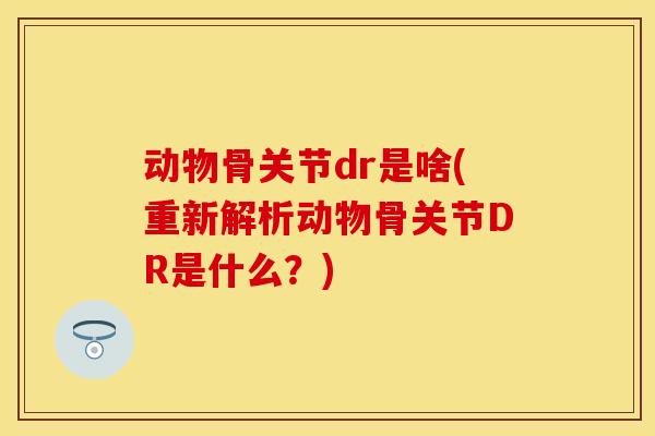 动物骨关节dr是啥(重新解析动物骨关节DR是什么？)
