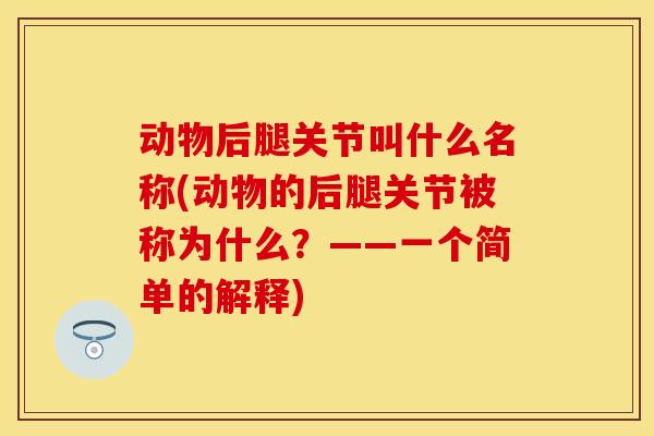 动物后腿关节叫什么名称(动物的后腿关节被称为什么？——一个简单的解释)