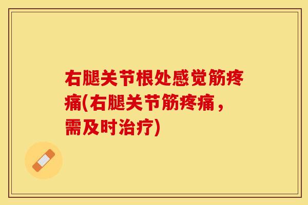 右腿关节根处感觉筋疼痛(右腿关节筋疼痛，需及时治疗)