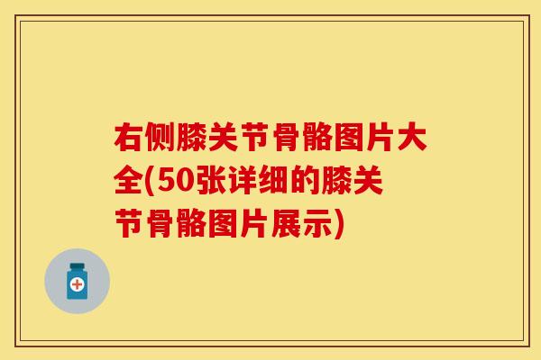 右侧膝关节骨骼图片大全(50张详细的膝关节骨骼图片展示)
