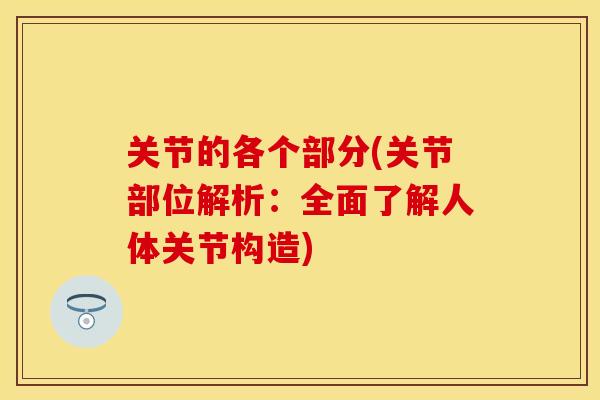 关节的各个部分(关节部位解析：全面了解人体关节构造)