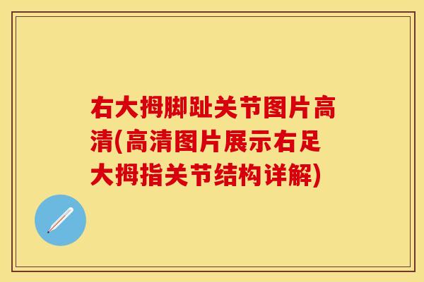 右大拇脚趾关节图片高清(高清图片展示右足大拇指关节结构详解)