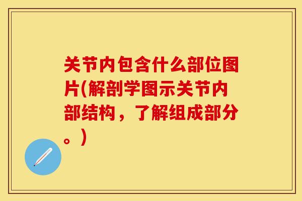 关节内包含什么部位图片(解剖学图示关节内部结构，了解组成部分。)