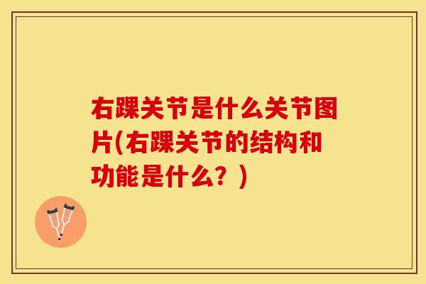 右踝关节是什么关节图片(右踝关节的结构和功能是什么？)