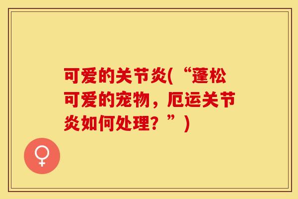 可爱的关节炎(“蓬松可爱的宠物，厄运关节炎如何处理？”)