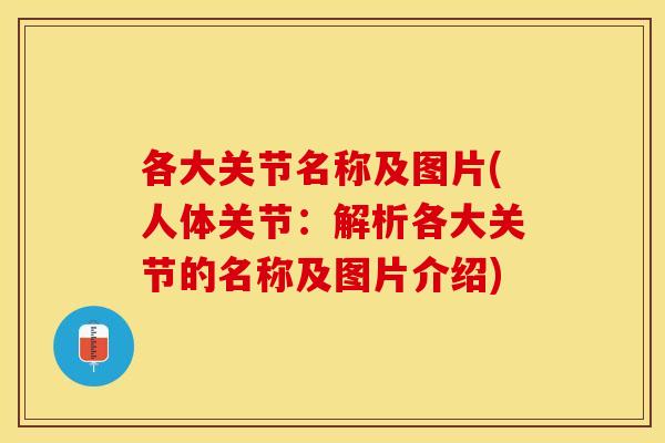 各大关节名称及图片(人体关节：解析各大关节的名称及图片介绍)