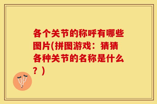 各个关节的称呼有哪些图片(拼图游戏：猜猜各种关节的名称是什么？)