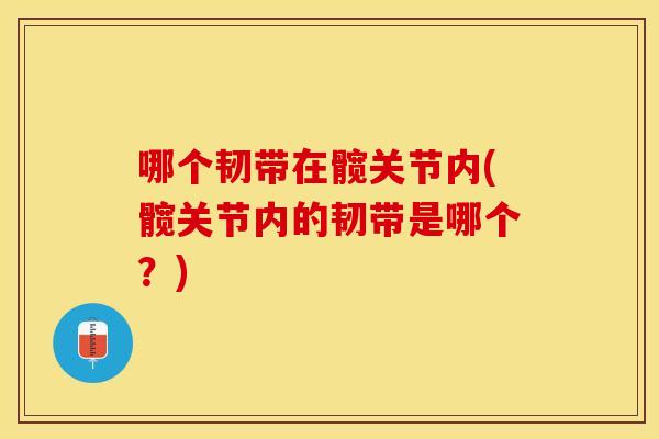 哪个韧带在髋关节内(髋关节内的韧带是哪个？)