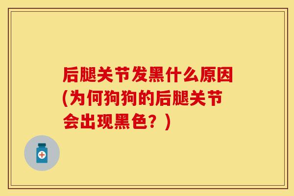 后腿关节发黑什么原因(为何狗狗的后腿关节会出现黑色？)