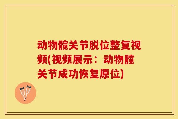 动物髋关节脱位整复视频(视频展示：动物髋关节成功恢复原位)