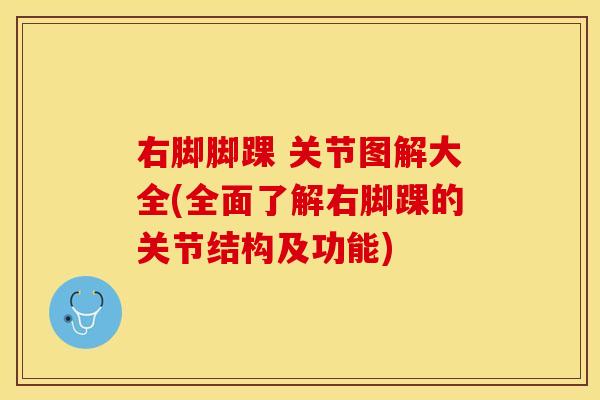 右脚脚踝 关节图解大全(全面了解右脚踝的关节结构及功能)