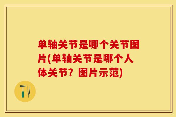单轴关节是哪个关节图片(单轴关节是哪个人体关节？图片示范)